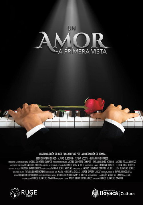 Un amor a primera vista