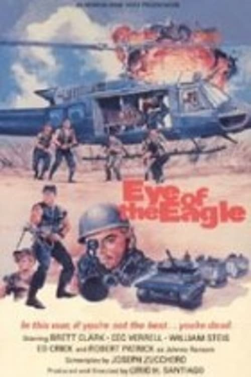 Eye of the Eagle 1987