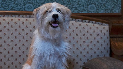 Poster della serie Best Medicine