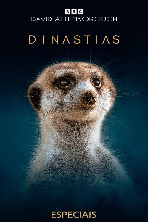 Especiais