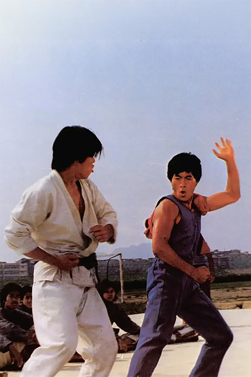 Bruce Lee Superdragon poster