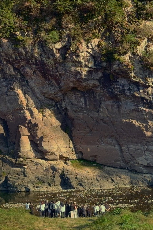 ​The Haunted Cat and the Unfolding Petroglyph​