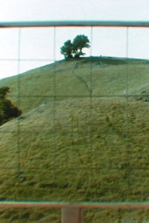 Tamalpais