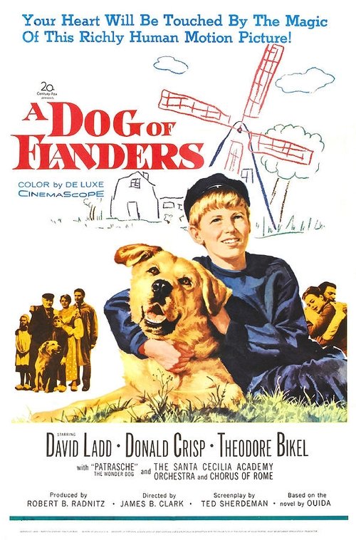 A Dog of Flanders poster