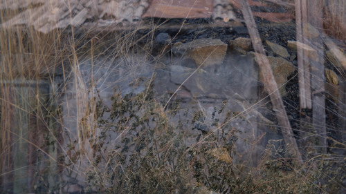 an observance of absence Backdrop Blur