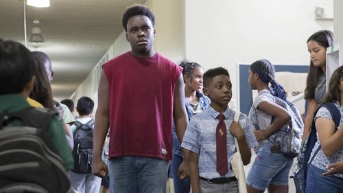 Shameless (US): 9×3