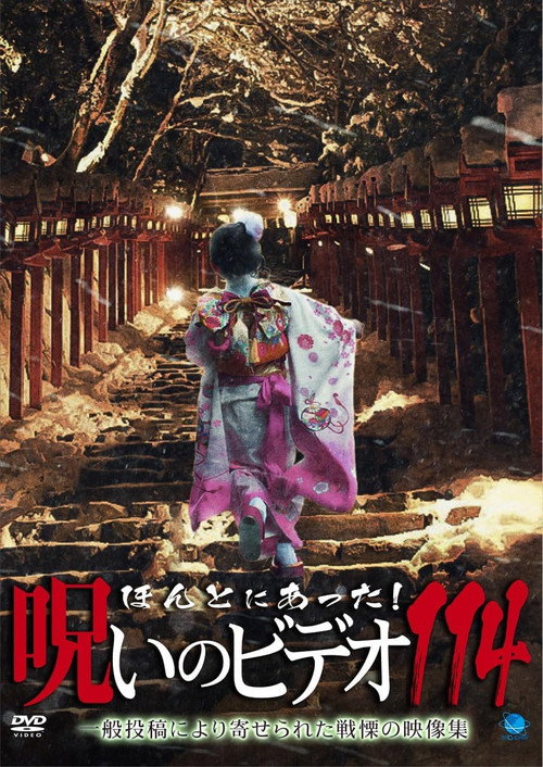 Honto ni Atta! Noroi no Video 114 poster