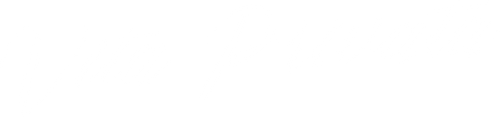 Vita privata official logo