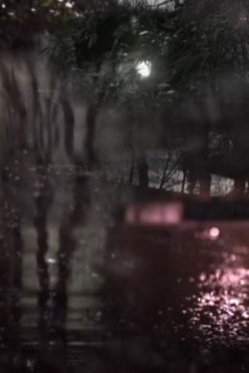 Souvenir d'un avenir