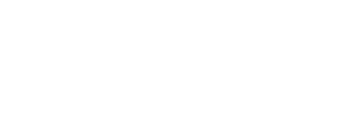 Youth of the Beast