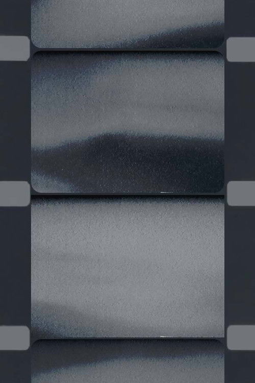 The Seventh Heart Projected