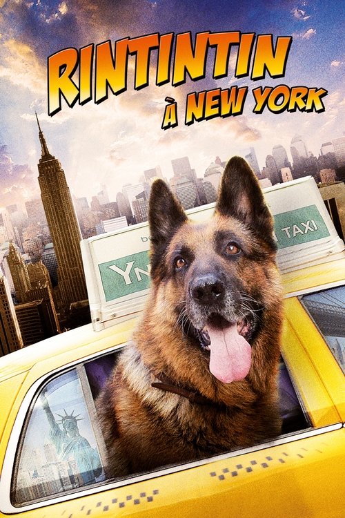 Rintintin à New-York (2010)