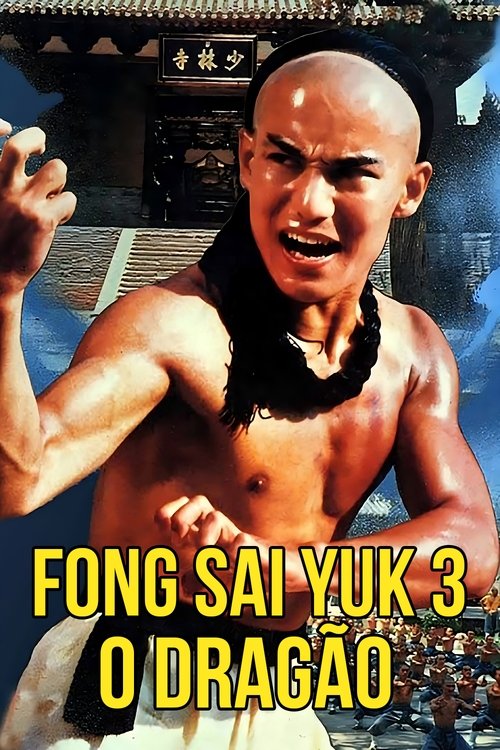 Pôster de Fong Sai Yuk 3 - O Dragão