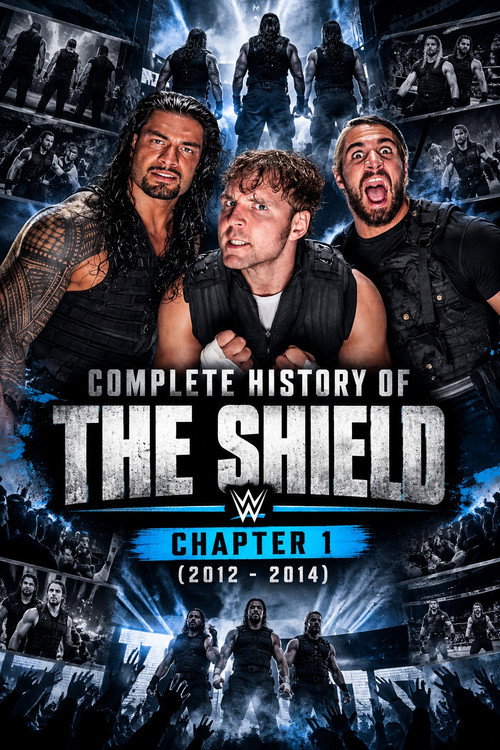 Complete History of The Shield - Chapter 1 afişi