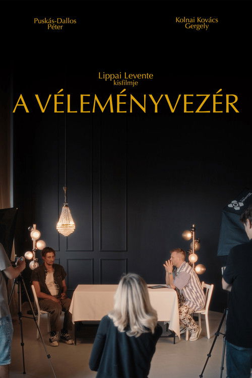 A Véleményvezér film afişi