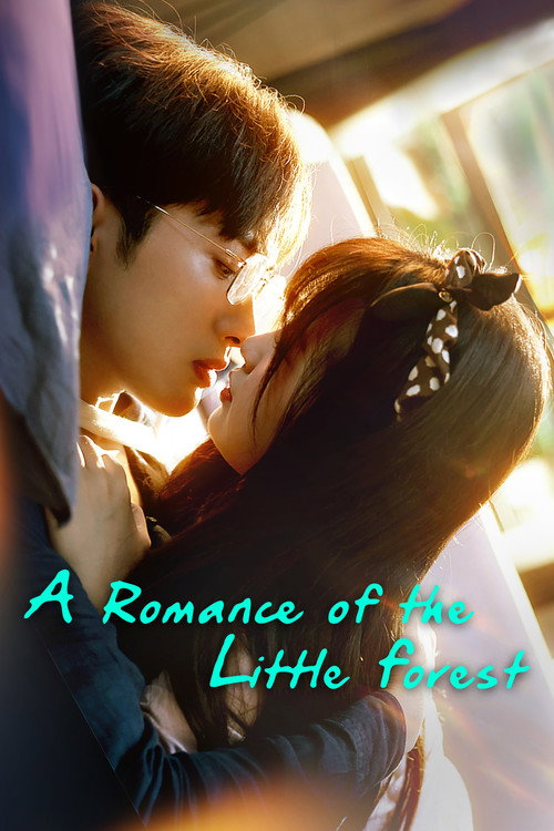 Poster 6