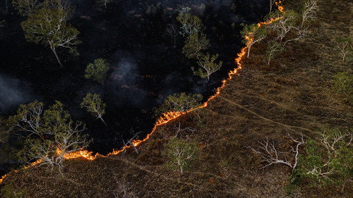 Fighting Wildfires: Can Tech Help?