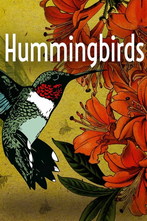 Hummingbirds: Jewelled Messengers poster