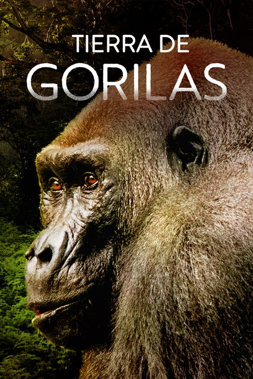 Gorillas Close Up poster