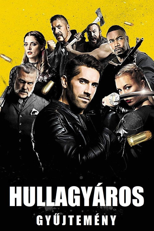 Hullagyáros gyűjtemény