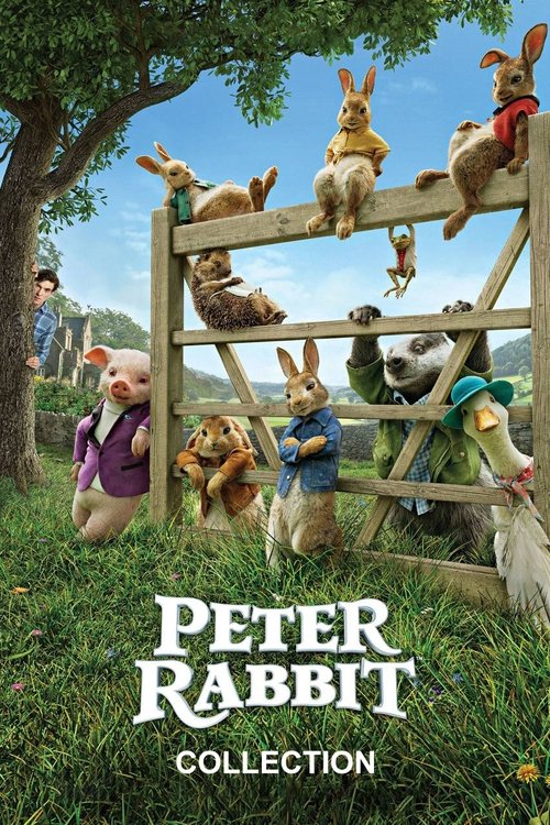 Peter Rabbit Movies Online Streaming Guide