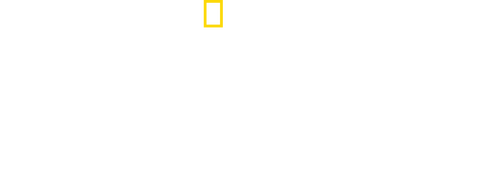 National Geographic Presents: IMPACT with Gal Gadot
