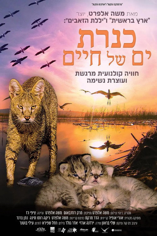 Kinneret: Sea of Life