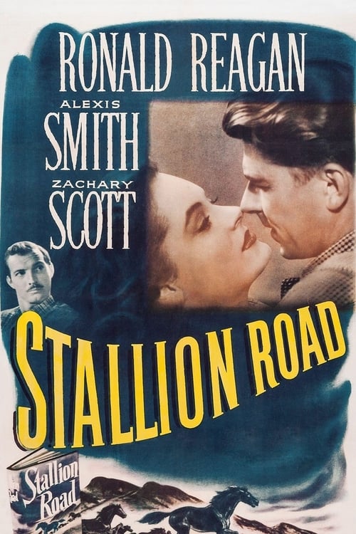 Stallion Road 1947