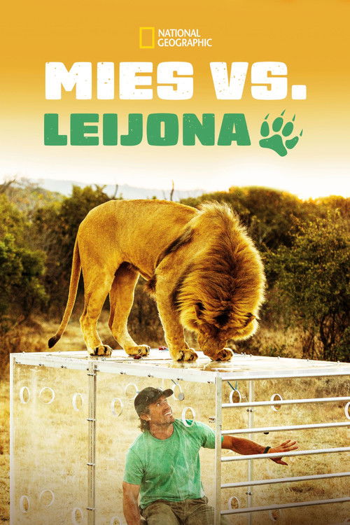 Man V. Lion poster