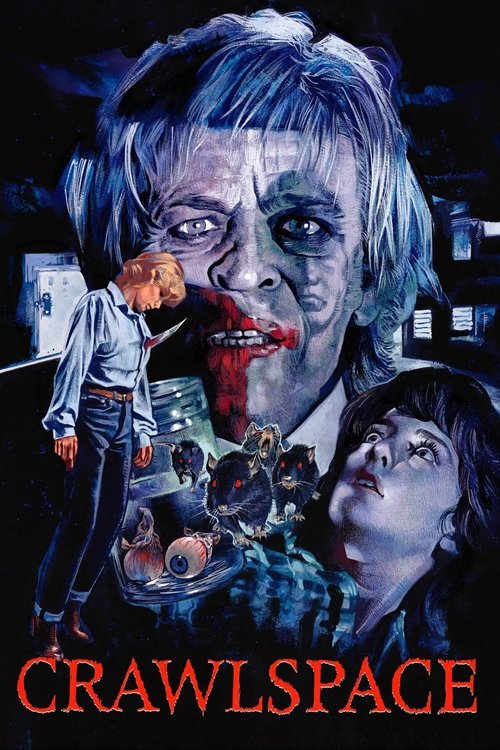 Poster 13