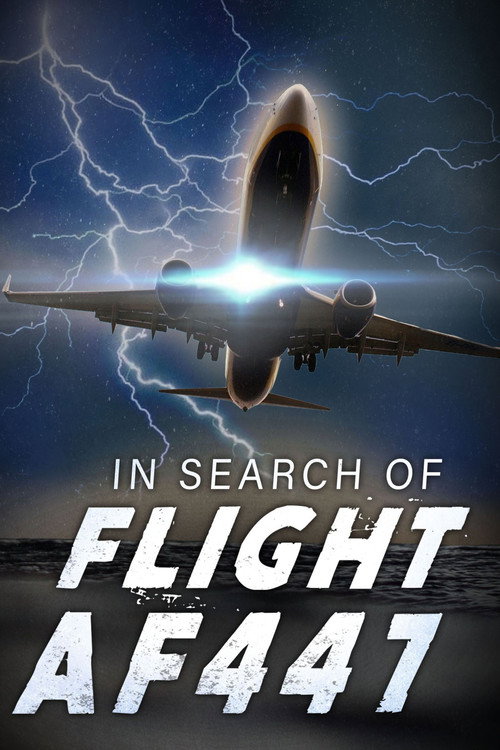 In Search of Flight AF447