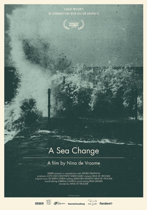 A Sea Change (2016)