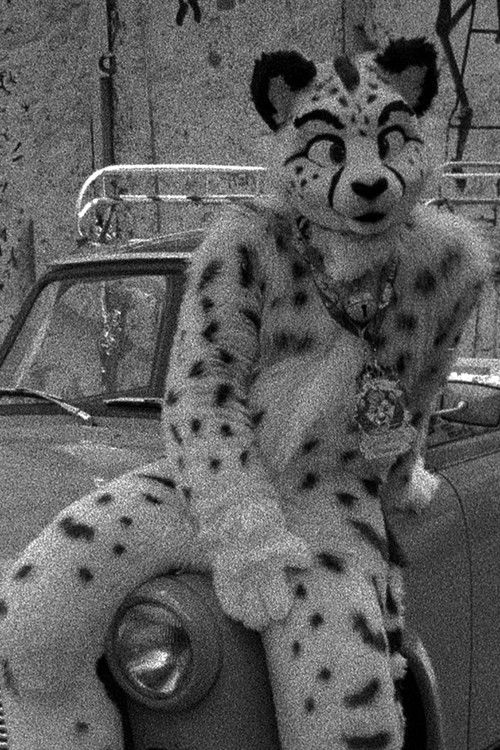 Постер фильма