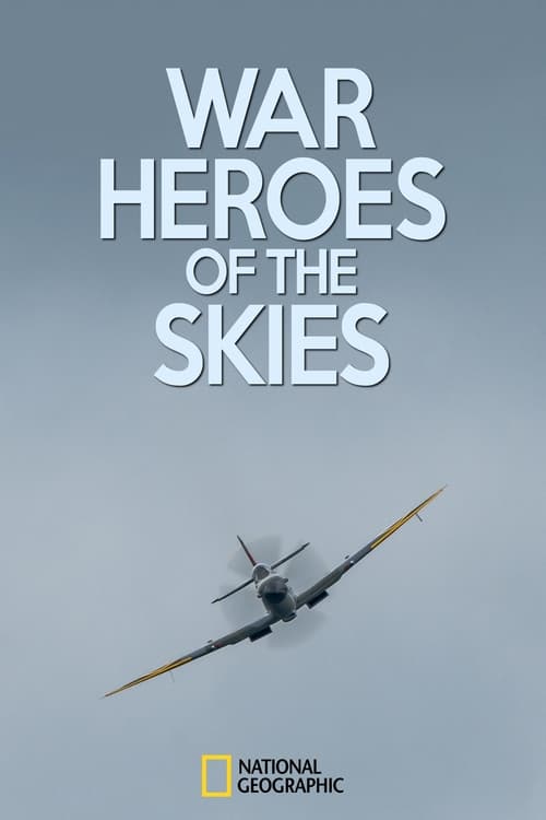 Poster War Heroes of the Skies