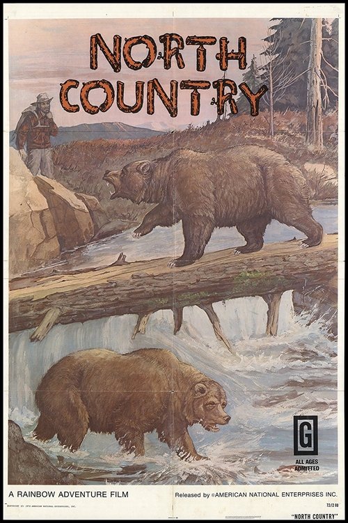 North Country poster