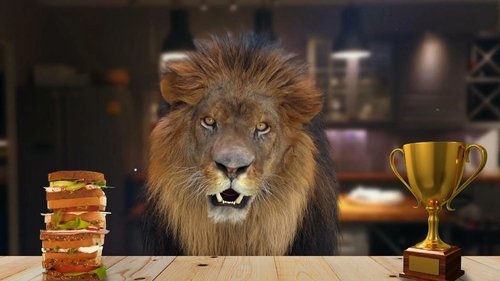 Image de l'épisode 20