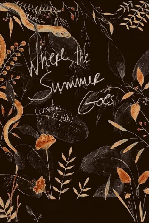 Where the Summer Goes (Chapters on Youth) Movie Poster Image