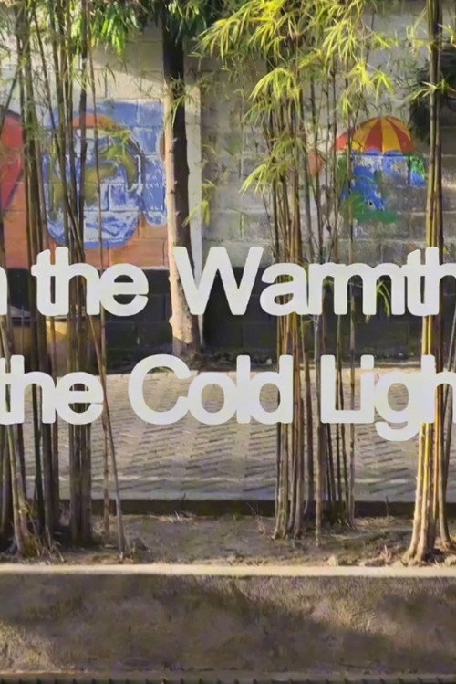 In the Warmth of Cold Lights