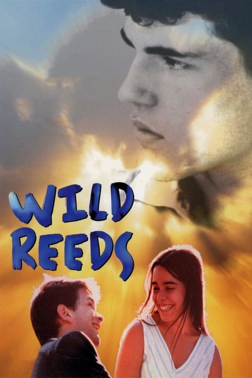 Wild Reeds 1994