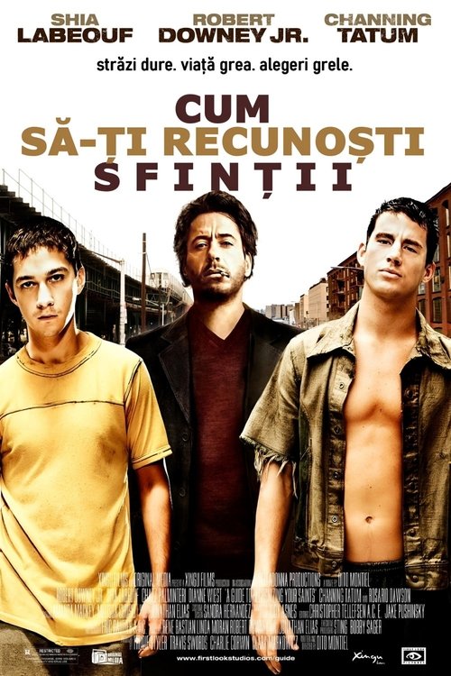 Poster pentru Cum să-ți recunoști sfinții