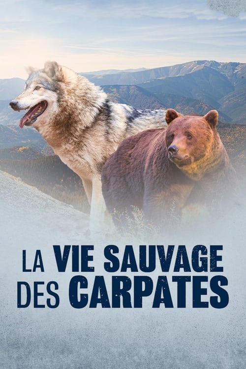 La Vie sauvage des Carpates (2020)