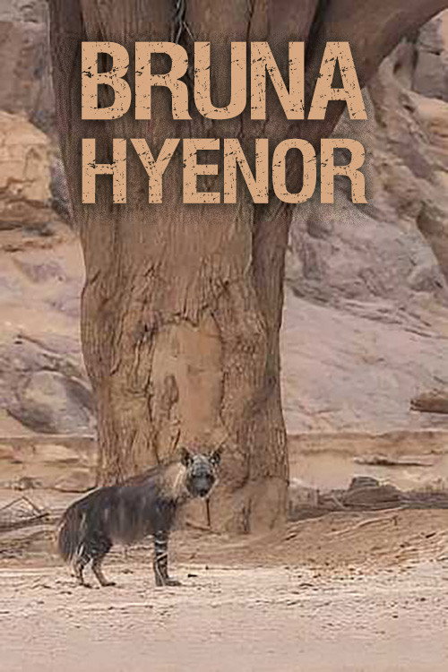 Bruna hyenor