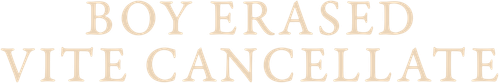 Boy Erased - Vite cancellate official logo