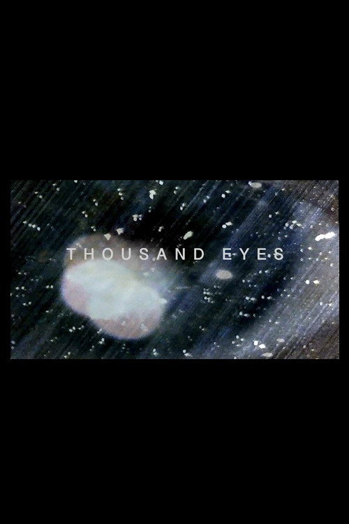 Thousand Eyes