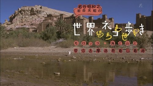 Épisode 11