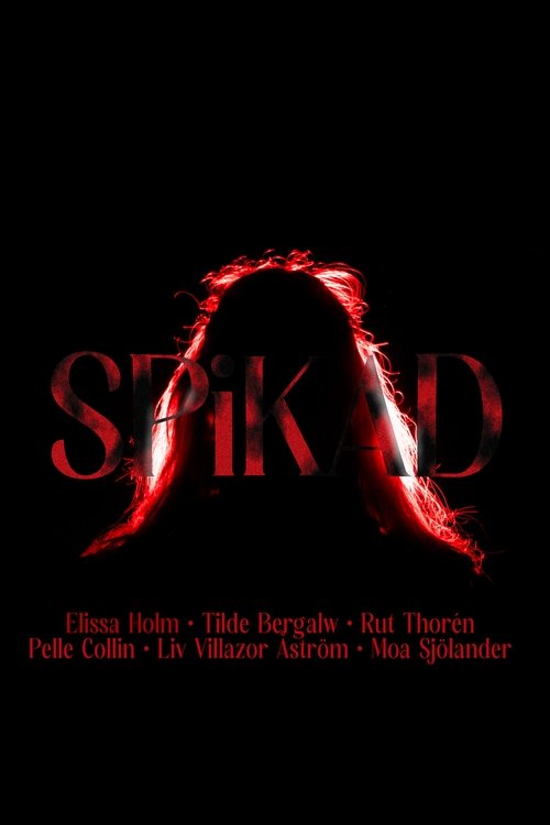 Poster image du film SPiKAD SPiKAD