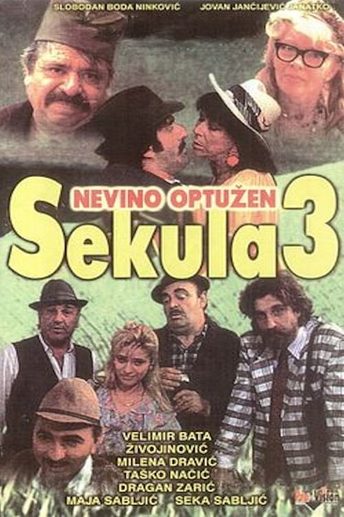 Sekula nevino optužen (1992)