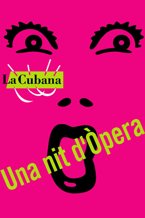 Una nit d'òpera Movie Poster Image