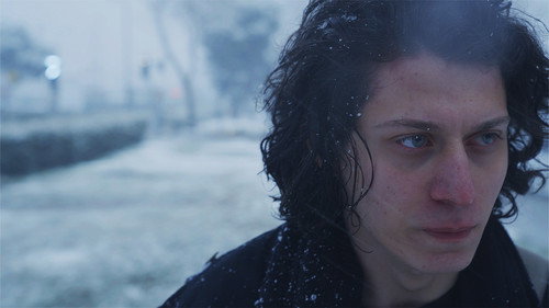 The Leaf Covered in Hoarfrost