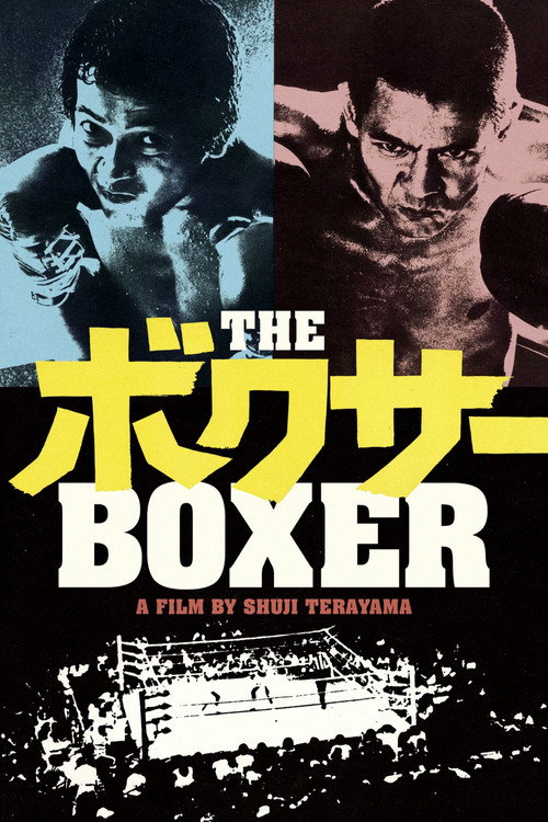 The Boxer